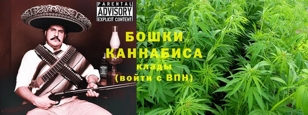 сатива Балахна