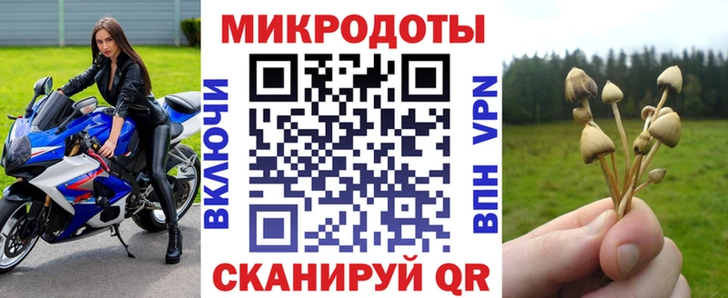 Псилоцибиновые грибы прущие грибы  Бор 